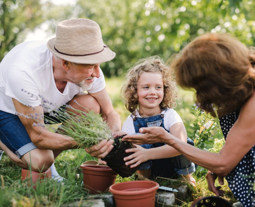 Servicios de agricultor en Huesca
