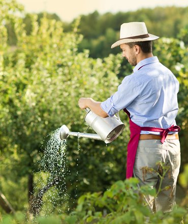 Servicios de agricultor en Huesca